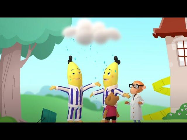 The Rainmakers | Bananas In Pyjamas