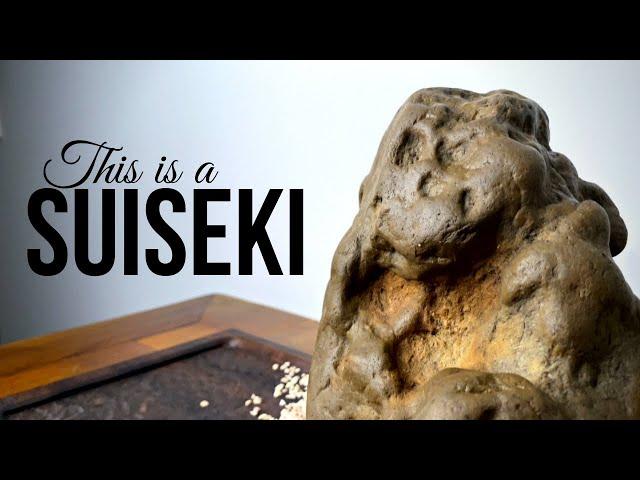 From an Ordinary Rock to a Piece of Art • SUISEKI