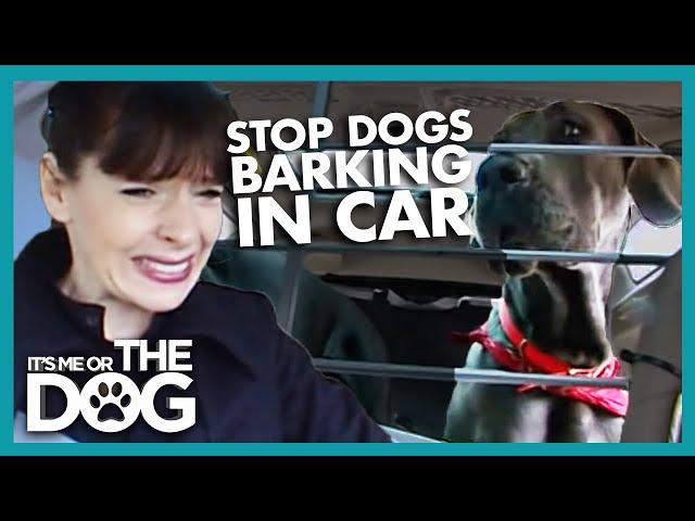 How to Stop Your Dog Barking in the Car  | It's Me or the Dog