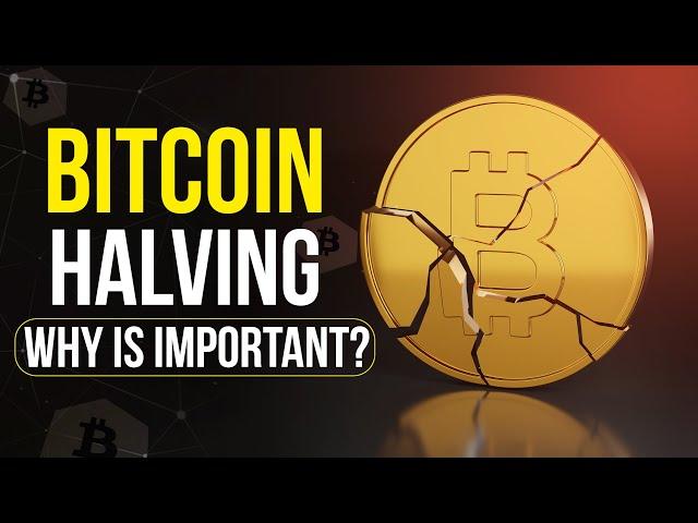 Bitcoin Halving Explained: Why It Is So Important? | Cryptela