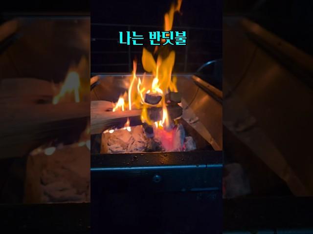 #날마다여행 #황가람 #나는반딧불 #쇼츠 #shorts #koreashorts #koreamusic #healing #daily