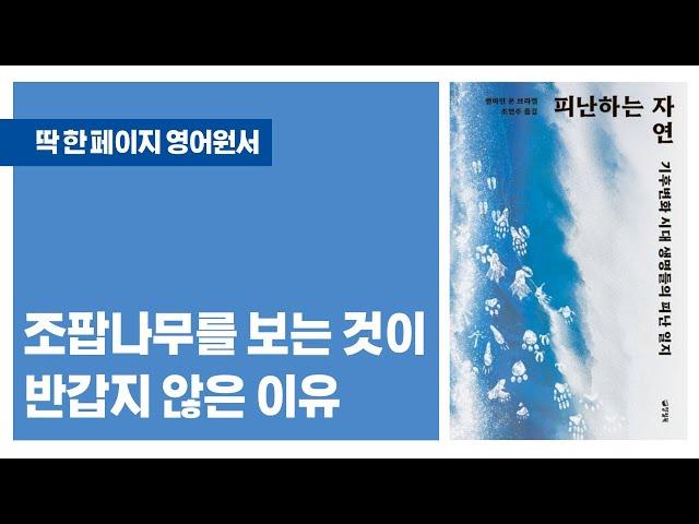 피난하는 자연: 기후변화 시대 생명들의 피난 일지 / 조팝나무를 보는 것이 반갑지 않은 이유