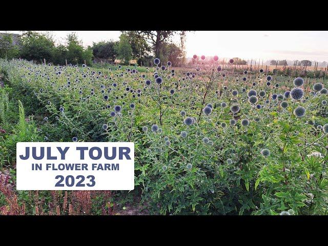 July Tour in Flower Farm 2023