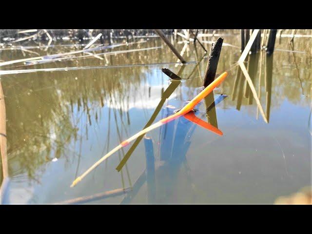 WILD ZHOR - KRUPNYAK BEATS RODS!!! Fishing on a float for crucian carp, carp