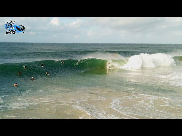 SNAPPER SURF WHAT A MAGICAL PLACE (Life In The Wave)