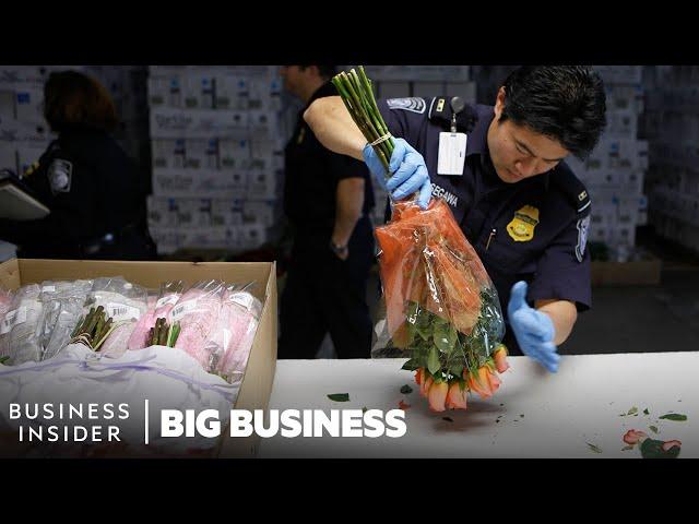 How 1.1 Billion Flowers Are Imported And Inspected In The US For Valentine's Day | Big Business