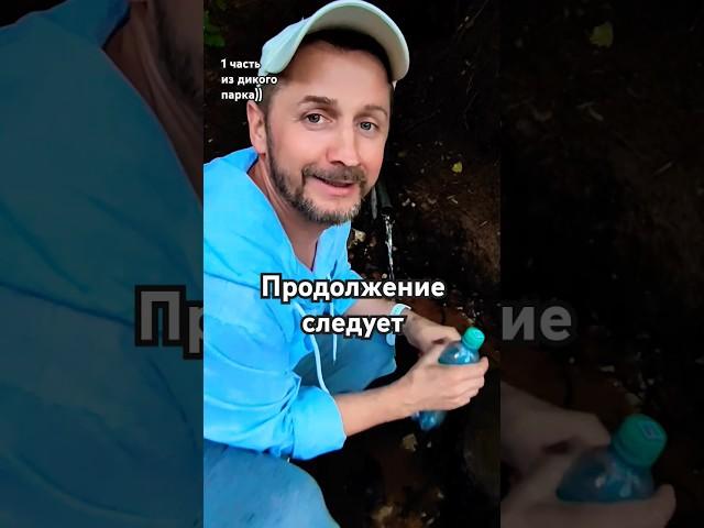 Как вам такой разговорный формат видео?)) Гулял тут на природе и решил записать) #shorts