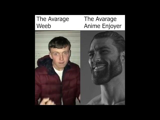 Average Weeb vs Anime Enjoyer