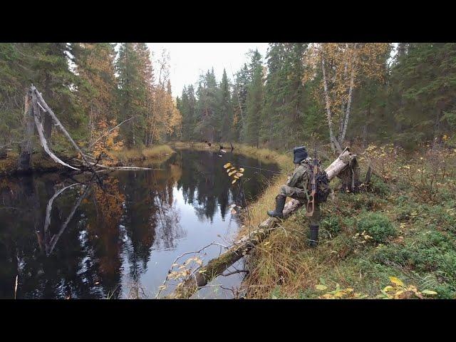 ДИКАЯ РЫБАЛКА В ДРЕМУЧЕЙ ТАЙГЕ. ЗАЧЁТНЫЕ ЩУКИ НА СПИННИНГ. НЕ ЗРЯ СХОДИЛ НА ТАЙНУЮ РЕКУ. ТИХОЕ МЕСТО