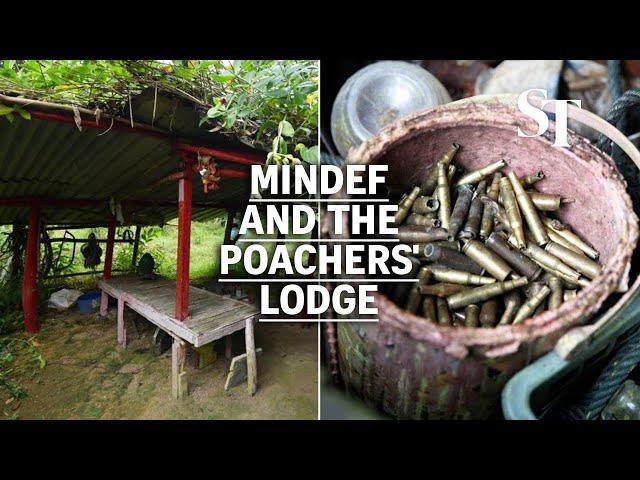 Hidden hut in army training area in Mandai cleared | Mindef and the poachers' lodge