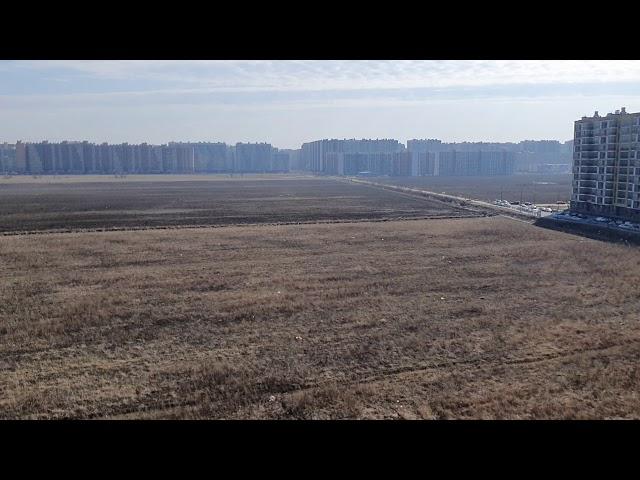 Самоизоляция. День 1 ️