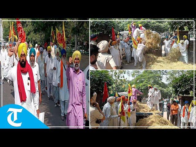 Kirti Kisan Union farmers unload paddy stubble outside DC office in Bathinda