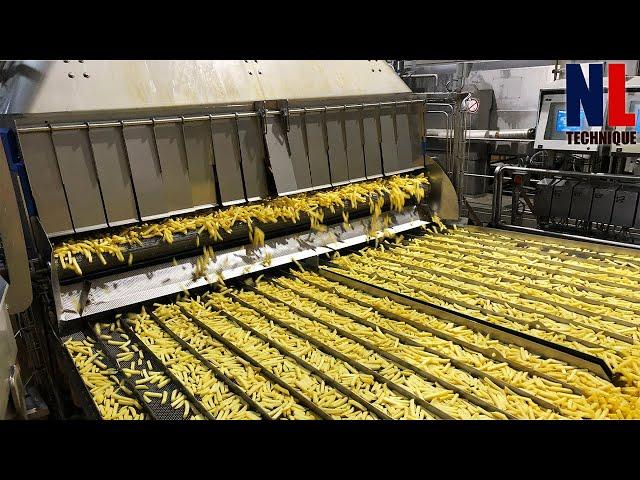 Amazing Modern French Fries Manufacturing Process - How Billion Of Tons Chips Are Made