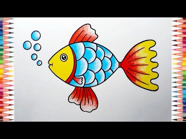 Fish Drawing || How to Draw Fish Step By Step for Beggeiner's || Fish Drawing Colour..