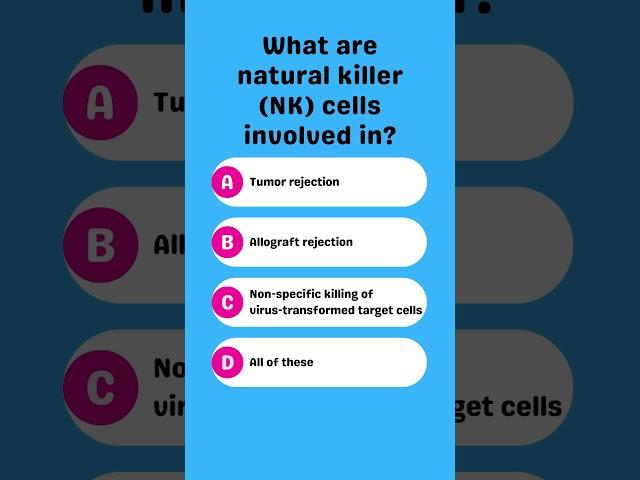 What are natural killer (NK) cells involved in?