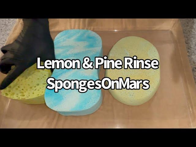 Sponge ASMR: Lemon & Pine Paste Rinse