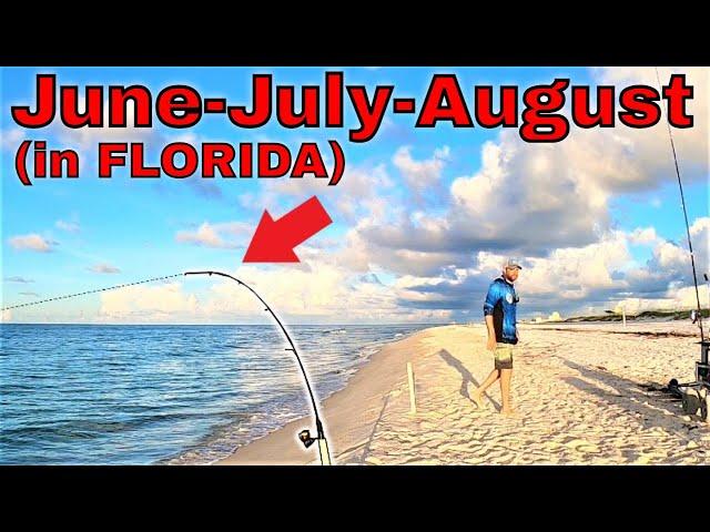 TOP 5 things to DO (TO CRUSH IT) FLORIDA (GULF COAST) surf fishing in THE SUMMER！