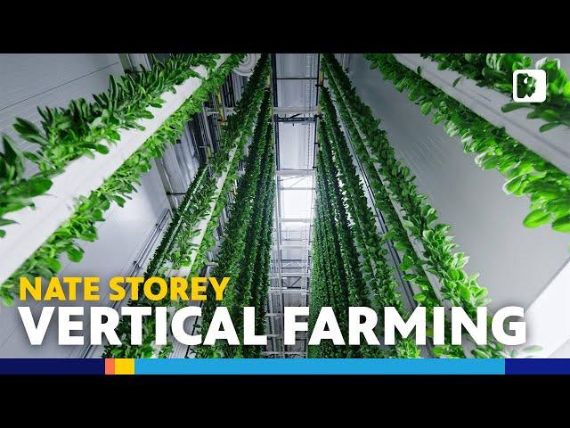 This founder is increasing crop productivity with vertical farming.