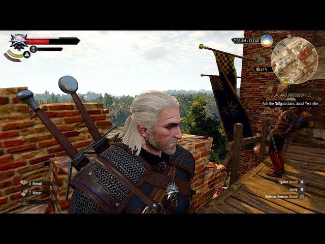 The Witcher 3 - (Nintendo Switch) - Enhanced Settings Mod - No Antialiasing