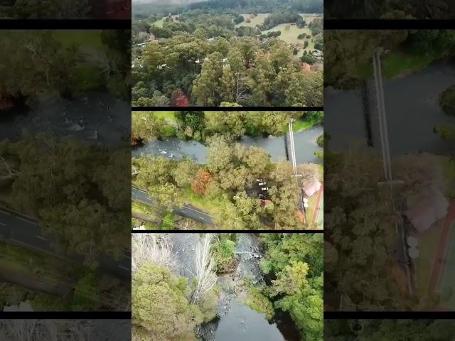 A Tale of Yarra river in the heart of Warburton.#drone #dronestagram #dronephotography #drones