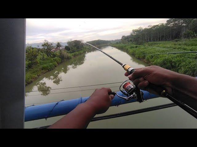 Mancing dari atas jembatan sungai grindulu