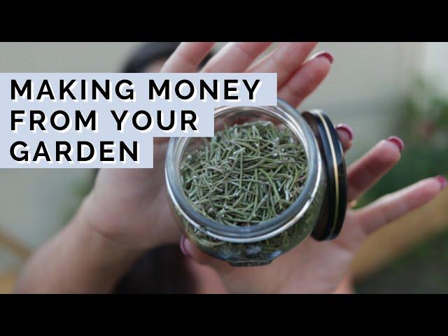 Ways I Make MONEY From My Garden | 16 Creative Ways to Make Money Gardening