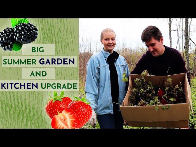 Huge Garden update and Kitchen renovation starts! | Harvesting Dreams