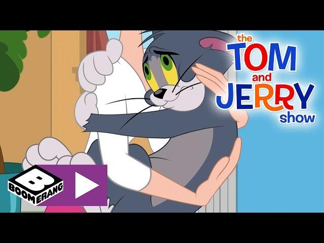 Die Tom & Jerry Show | Der neue House-Sitter | Cartoonito