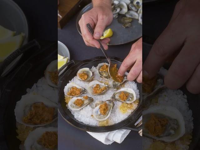 Delicious Oysters Cooked in Pizza Oven! #cooking