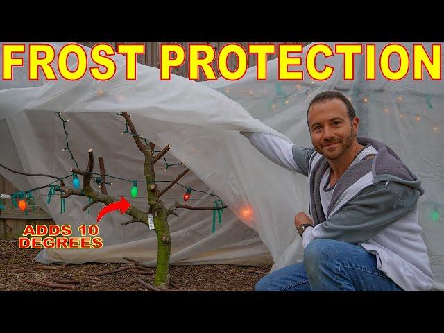 How To Use Frost Blankets, Frost Cloth And Row Rovers Properly