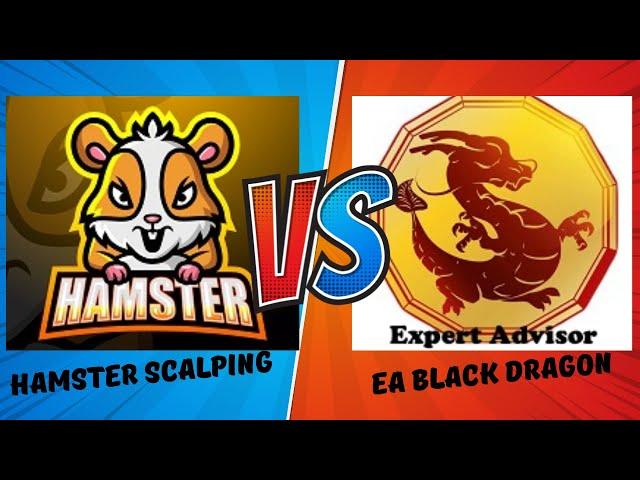 Removing Cadence FX and Introducing Hamster Scalping & EA Black Dragon! [2024]