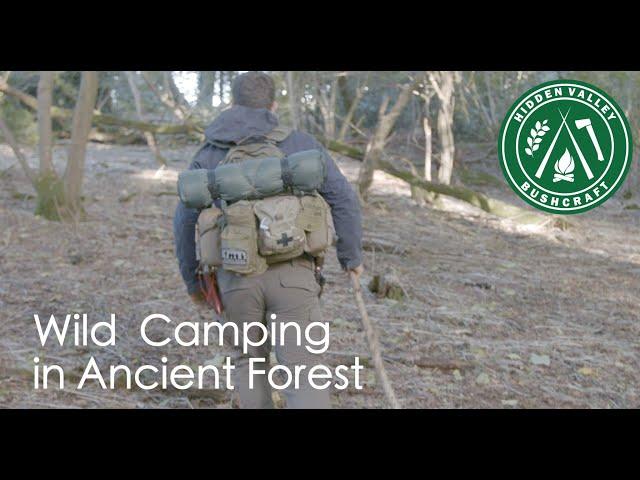 Overnighting in Ancient Woodland - Tips from an ex-Royal Marine