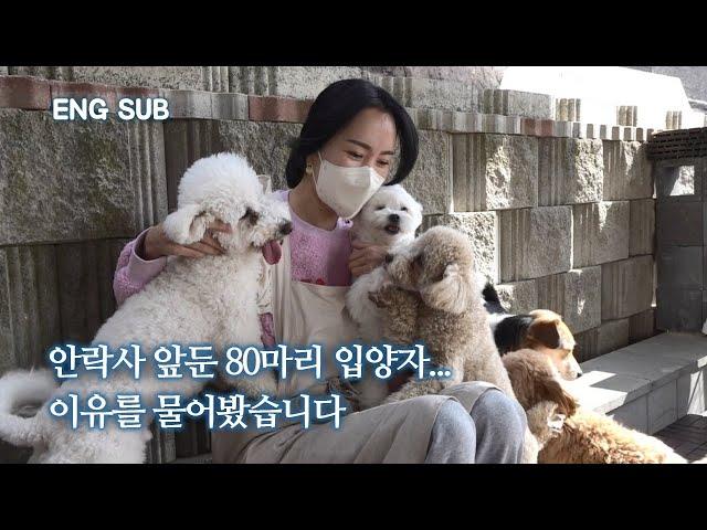 We met an adopter who has brought more than 80 abandon dogs within two years | WOOJOO EP.1