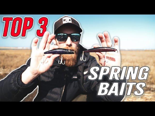 TOP 3 EASIEST BAITS TO USE FOR CATCHING STRIPED BASS!!