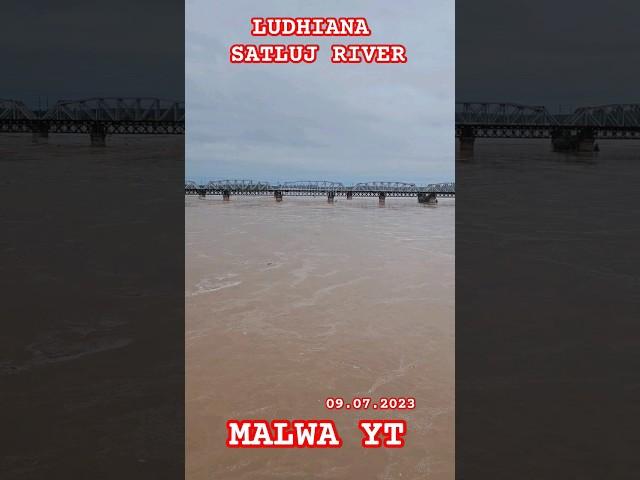 FLOOD IN SATLUJ RIVER LUDHIANA 09.07.2023...MALWA YT