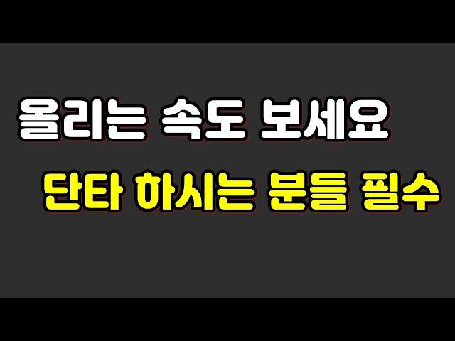 단타 필수 올리는 속도 보세요