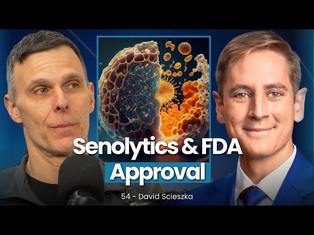 A Company's New Longevity Senolytic Drug & The Drug Development Process | 54 - David Scieszka