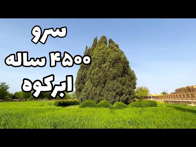 Iran, Abarkooh Travel Vlog - شهری از کویر که باید دید