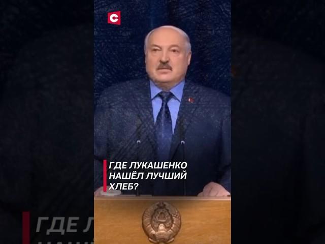 Лукашенко нашёл самый лучший хлеб! (Архив) #лукашенко #новости #политика #беларусь #shorts