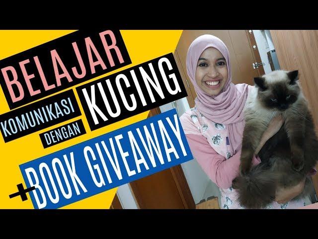 Belajar Komunikasi dengan Kucing