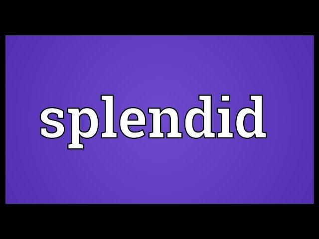 Splendid Meaning