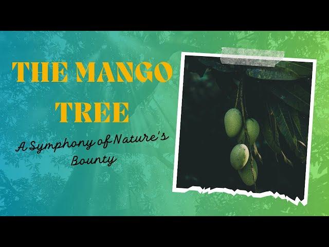 The Majestic Mango Tree | A Symphony of Nature's Bounty | Song for Kids ️