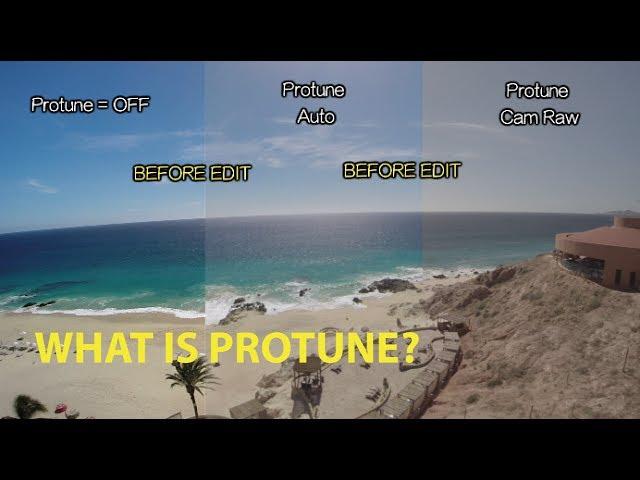 What is Protune? GoPro Tip 317 | MicBergsma