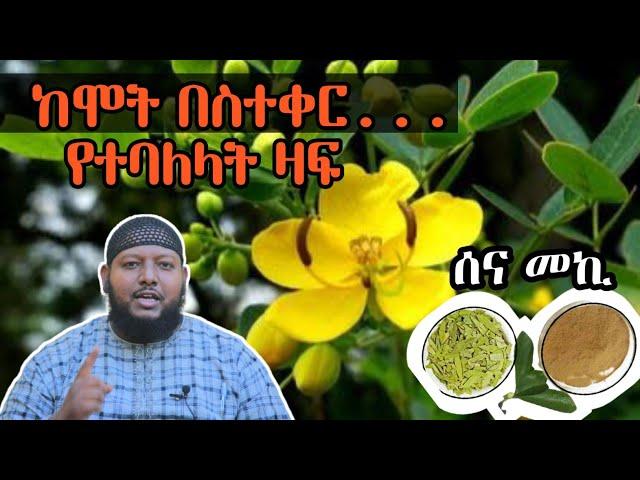 ሰና መኪ - ከሞት በስተቀር የተባለላት ዛፍ ጥቅሞቿ [ቅምሻ] ዶ/ር ዑስማን መሀመድ | Senna Meki | Dr Ousman Muhammed