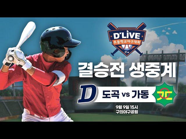 도곡 vs 가동 제21회 딜라이브기 초등학교 야구대회 결승전 생중계ㅣ딜라이브TV