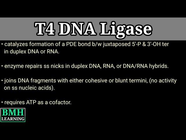 T4 DNA Ligase | Ligation Using T4 DNA Ligase |