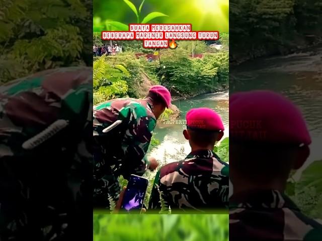 Marinir turun tangan lumpuhkan buaya raksasa #komando #prajurit #marinir #tnial #abdinegara #bravo