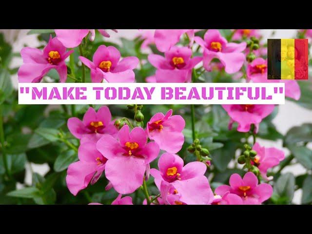 "MAKE TODAY BEAUTIFUL" / HAPPY MONDAY / MAY2020 / ELLA'SLIFE