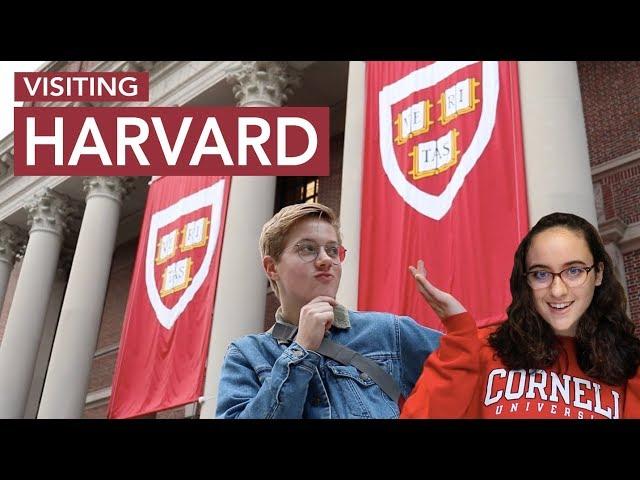 Insider's Guide to HARVARD & My First Impressions