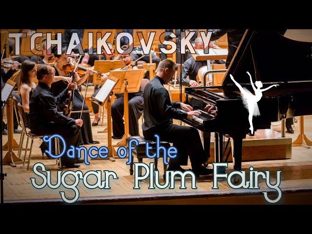 Tchaikovsky - Dance of the Sugar Plum Fairy | Piano & Orchestra